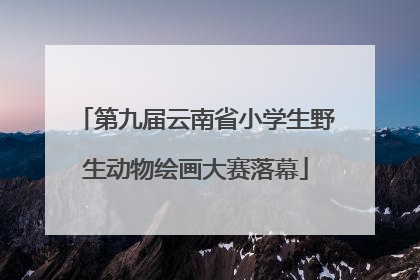 第九届云南省小学生野生动物绘画大赛落幕