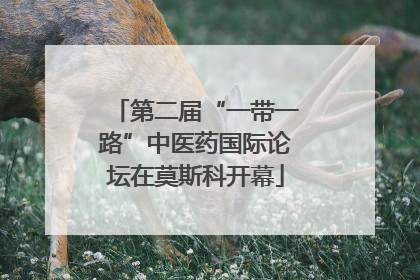第二届“一带一路”中医药国际论坛在莫斯科开幕