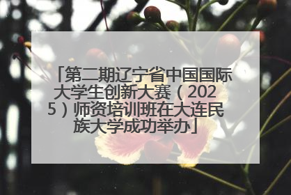 第二期辽宁省中国国际大学生创新大赛（2025）师资培训班在大连民族大学成功举办