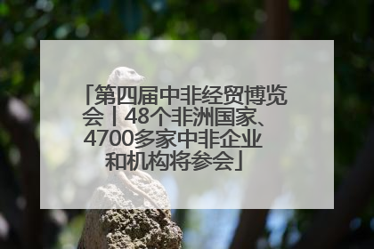 第四届中非经贸博览会丨48个非洲国家、4700多家中非企业和机构将参会