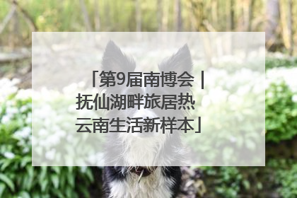 第9届南博会｜抚仙湖畔旅居热 云南生活新样本