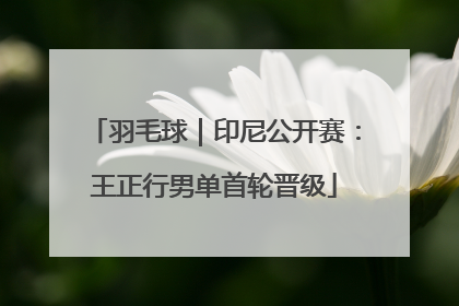 羽毛球｜印尼公开赛：王正行男单首轮晋级