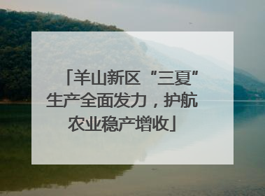 羊山新区“三夏”生产全面发力，护航农业稳产增收