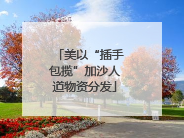 美以“插手包揽”加沙人道物资分发