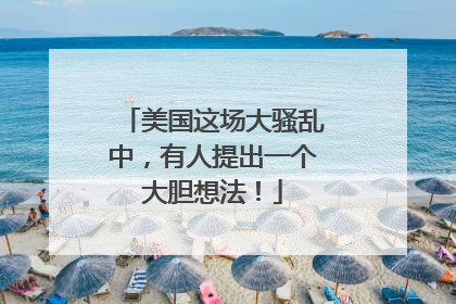 美国这场大骚乱中，有人提出一个大胆想法！
