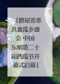 群星荟萃共襄瓜乡盛会 中国·东明第二十届西瓜节开幕式启幕