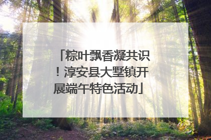 粽叶飘香凝共识！淳安县大墅镇开展端午特色活动