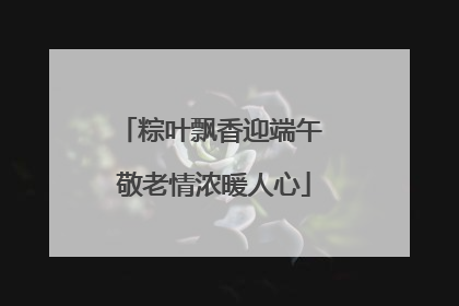 粽叶飘香迎端午 敬老情浓暖人心