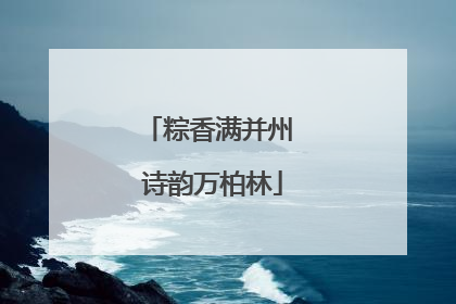 粽香满并州 诗韵万柏林