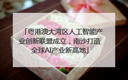 粤港澳大湾区人工智能产业创新联盟成立，南沙打造全球AI产业新高地