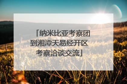 纳米比亚考察团到湘潭天易经开区考察洽谈交流