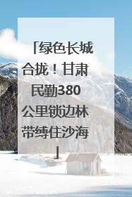 绿色长城合拢！甘肃民勤380公里锁边林带缚住沙海