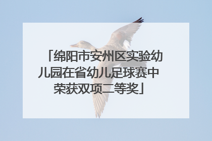 绵阳市安州区实验幼儿园在省幼儿足球赛中荣获双项二等奖