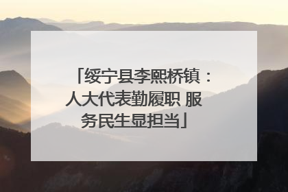 绥宁县李熙桥镇：人大代表勤履职 服务民生显担当