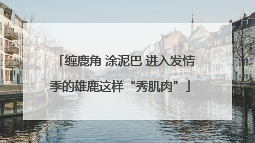 缠鹿角 涂泥巴 进入发情季的雄鹿这样“秀肌肉”