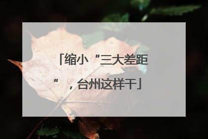 缩小“三大差距”，台州这样干