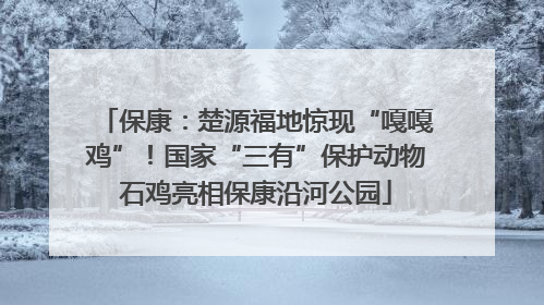 保康：楚源福地惊现“嘎嘎鸡”！国家“三有”保护动物石鸡亮相保康沿河公园