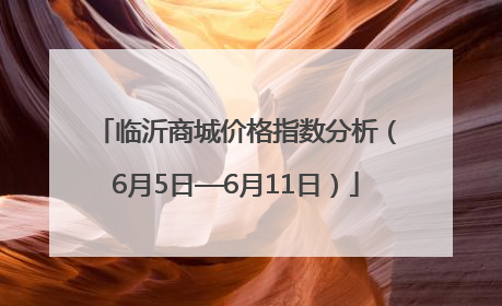 临沂商城价格指数分析（6月5日—6月11日）