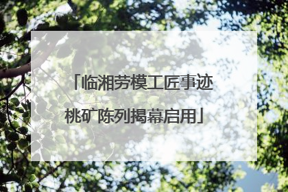 临湘劳模工匠事迹桃矿陈列揭幕启用
