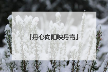 丹心向阳映丹霞