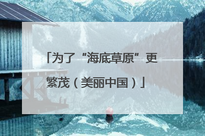 为了“海底草原”更繁茂（美丽中国）