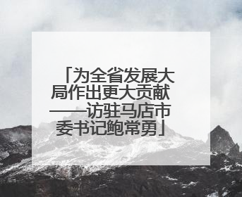为全省发展大局作出更大贡献——访驻马店市委书记鲍常勇