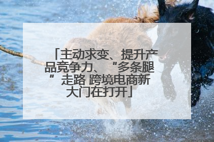 主动求变、提升产品竞争力、“多条腿”走路 跨境电商新大门在打开