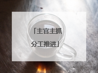 主官主抓 分工推进