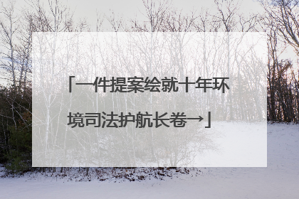 一件提案绘就十年环境司法护航长卷→
