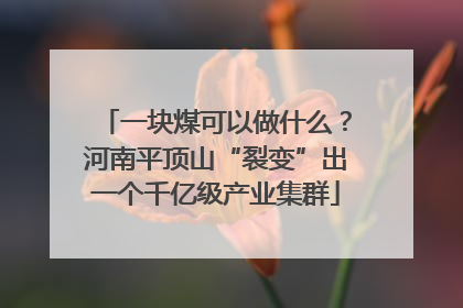 一块煤可以做什么？河南平顶山“裂变”出一个千亿级产业集群