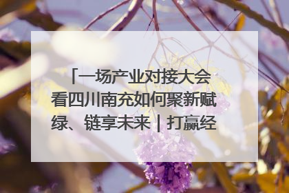 一场产业对接大会 看四川南充如何聚新赋绿、链享未来｜打赢经济发展翻身仗