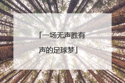 一场无声胜有声的足球梦