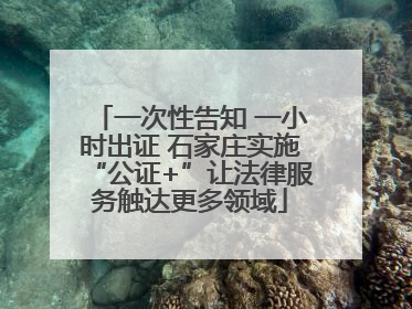 一次性告知 一小时出证 石家庄实施“公证+”让法律服务触达更多领域