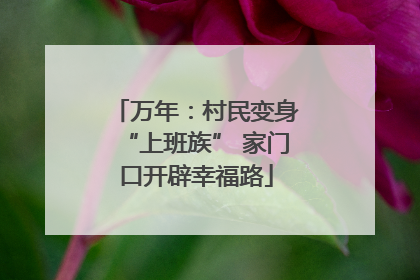 万年：村民变身“上班族” 家门口开辟幸福路
