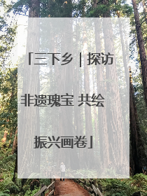 三下乡｜探访非遗瑰宝 共绘振兴画卷