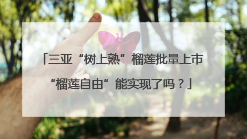 三亚“树上熟”榴莲批量上市 “榴莲自由”能实现了吗？