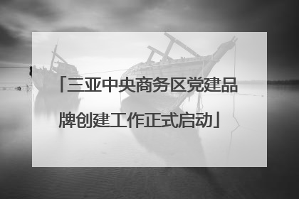 三亚中央商务区党建品牌创建工作正式启动