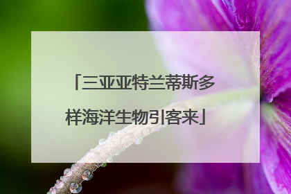 三亚亚特兰蒂斯多样海洋生物引客来