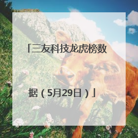 三友科技龙虎榜数据（5月29日）