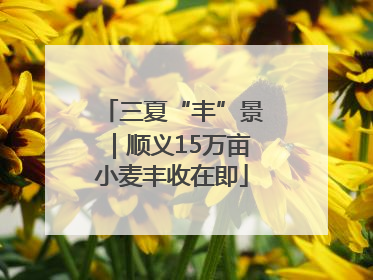 三夏“丰”景｜顺义15万亩小麦丰收在即