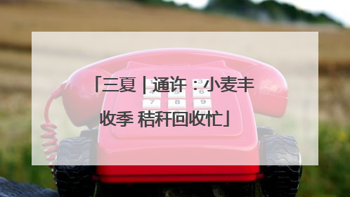 三夏｜通许：小麦丰收季 秸秆回收忙