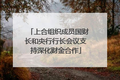 上合组织成员国财长和央行行长会议支持深化财金合作