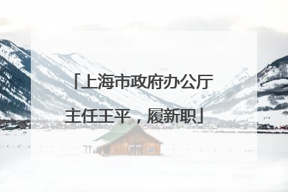 上海市政府办公厅主任王平，履新职