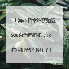 上海市档案馆获赠近500台海鸥相机，来看相机曾经的样子