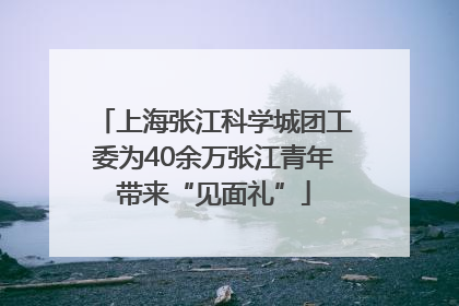 上海张江科学城团工委为40余万张江青年带来“见面礼”