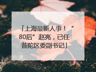上海最新人事！“80后”赵亮，已任普陀区委副书记