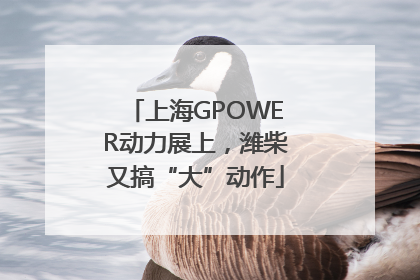 上海GPOWER动力展上，潍柴又搞“大”动作
