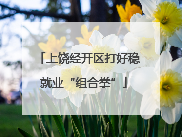 上饶经开区打好稳就业“组合拳”