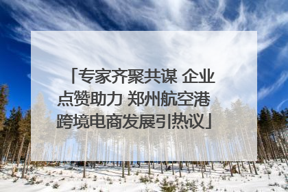 专家齐聚共谋 企业点赞助力 郑州航空港跨境电商发展引热议
