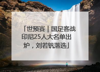 世预赛｜国足客战印尼25人大名单出炉，刘若钒落选